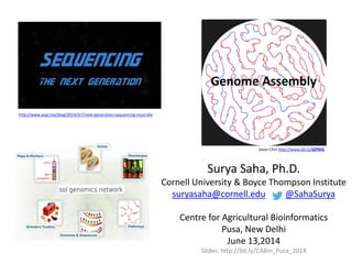 Surya Saha, Ph.D.
Cornell University & Boyce Thompson Institute
suryasaha@cornell.edu @SahaSurya
Centre for Agricultural Bioinformatics
Pusa, New Delhi
June 13,2014
Slides: http://bit.ly/CABin_Pusa_2014
http://www.acgt.me/blog/2014/3/7/next-generation-sequencing-must-die
Genome Assembly
Jason Chin http://www.bit.ly/SZPKIG
 