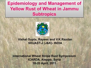 Epidemiology and Management of Yellow Rust of Wheat in Jammu Subtropics  Vishal Gupta, Rayees and V.K.Razdan SKUAST-J (J&K)- INDIA International Wheat Stripe Rust Symposium ICARDA, Aleppo, Syria 18-20 April, 2011 