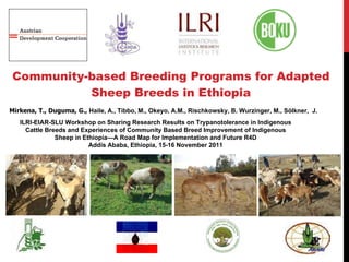 Community-based Breeding Programs for Adapted Sheep Breeds in Ethiopia Mirkena, T., Duguma, G.,  Haile, A., Tibbo, M., Okeyo, A.M., Rischkowsky, B. Wurzinger, M., Sölkner,  J.  ILRI-EIAR-SLU Workshop on Sharing Research Results on Trypanotolerance in Indigenous Cattle Breeds and Experiences of Community Based Breed Improvement of Indigenous Sheep in Ethiopia—A Road Map for Implementation and Future R4D Addis Ababa, Ethiopia, 15-16 November 2011 