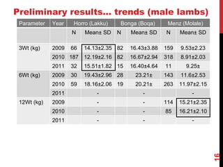Community-based breeding programs for adapted sheep breeds in Ethiopia