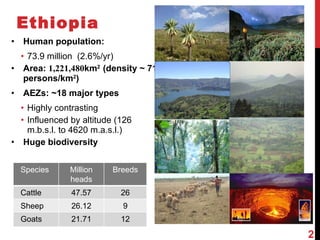 Community-based breeding programs for adapted sheep breeds in Ethiopia