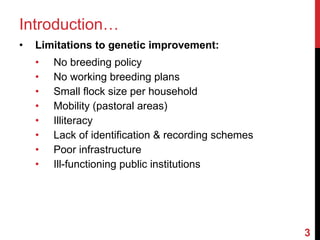 Community-based breeding programs for adapted sheep breeds in Ethiopia