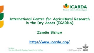 International Center for Agricultural Research in the Dry Areas
icarda.org cgiar.org
A CGIAR Research Center
International Center for Agricultural Research
in the Dry Areas (ICARDA)
Zewdie Bishaw
http://www.icarda.org/
 