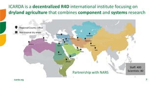 icarda.org 2
Staff: 400
Scientists: 80
ICARDA is a decentralized R4D international institute focusing on
dryland agricultu...