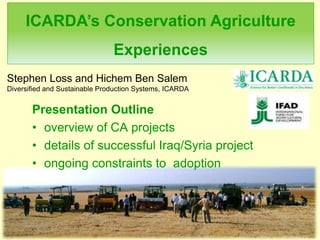 Stephen Loss and Hichem Ben Salem
Diversified and Sustainable Production Systems, ICARDA
ICARDA’s Conservation Agriculture
Experiences
Presentation Outline
• overview of CA projects
• details of successful Iraq/Syria project
• ongoing constraints to adoption
 