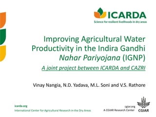 International Center for Agricultural Research in the Dry Areas
icarda.org cgiar.org
A CGIAR Research Center
Improving Agricultural Water
Productivity in the Indira Gandhi
Nahar Pariyojana (IGNP)
A joint project between ICARDA and CAZRI
Vinay Nangia, N.D. Yadava, M.L. Soni and V.S. Rathore
 