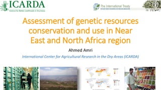 Assessment of genetic resources
conservation and use in Near
East and North Africa region
Ahmed Amri
International Center for Agricultural Research in the Dry Areas (ICARDA)
 