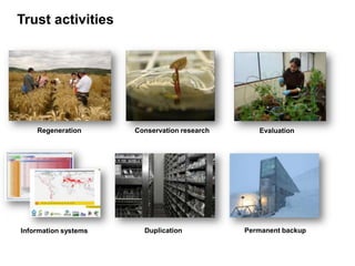 Trust activities
Regeneration Conservation research Evaluation
Permanent backupDuplicationInformation systems
 