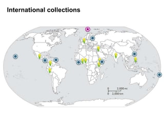 International collections
 
