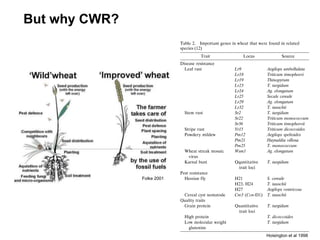 But why CWR?
Hoisington et al 1998
Folke 2001
 