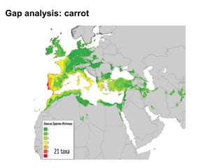 Gap analysis: carrot
 