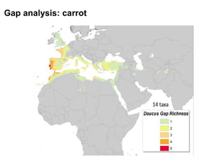 Gap analysis: carrot
 