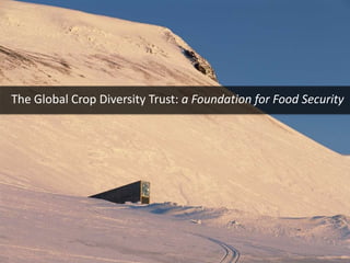 The Global Crop Diversity Trust: a Foundation for Food Security
 