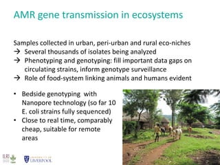 The need for solution driven AMR research—A One Health perspective 