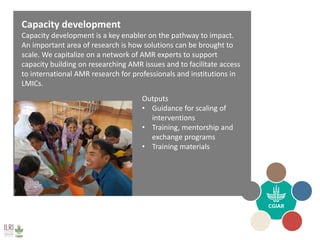 The need for solution driven AMR research—A One Health perspective 