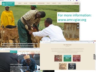 The need for solution driven AMR research—A One Health perspective 