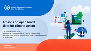 Forestry Division (FAO)
Rocío Cóndor
Lessons on open forest
data for climate action
ICAT Partner Forum 2022:
Improving NDC implementation through transparency
Session 3: Data sources and processes for NDC implementation
29 March 2022
 
