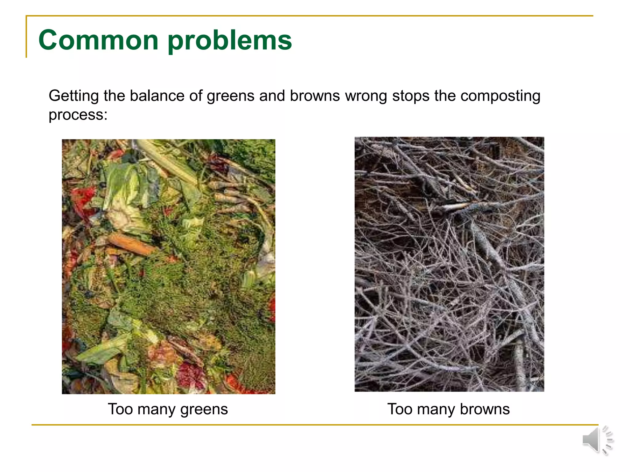 Common problems
Too many greens Too many browns
Getting the balance of greens and browns wrong stops the composting
process:
 
