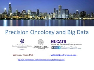 Precision	
  Oncology	
  and	
  Big	
  Data	
  

Warren A. Kibbe, PhD

wakibbe@northwestern.edu

http://wiki.bioinformatics.northwestern.edu/index.php/Warren_Kibbe

 