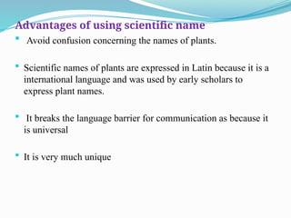 Advantages of using scientific name
 Avoid confusion concerning the names of plants.
 Scientific names of plants are expressed in Latin because it is a
international language and was used by early scholars to
express plant names.
 It breaks the language barrier for communication as because it
is universal
 It is very much unique
 