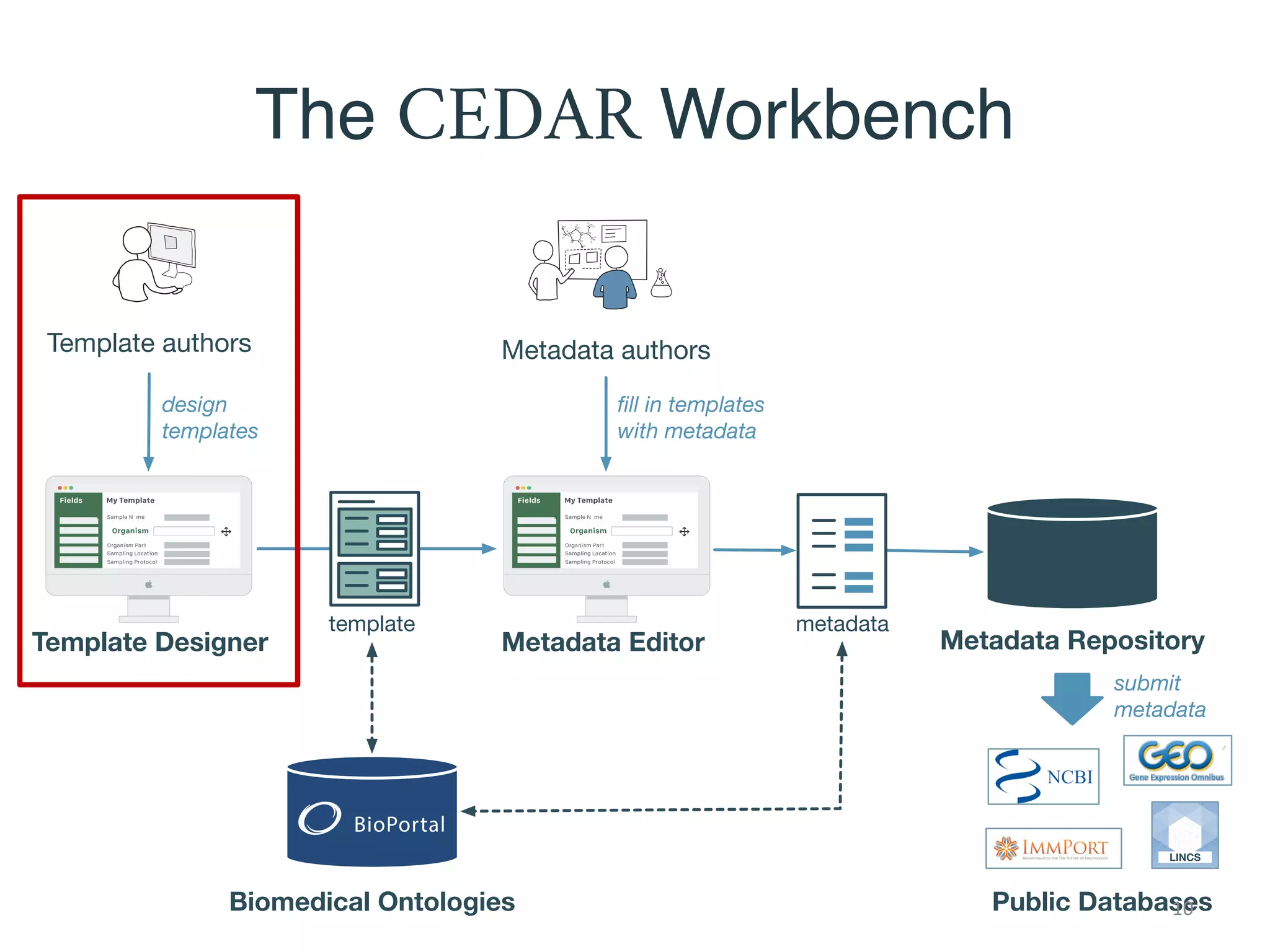 Template Designer Metadata Editor
Template authors Metadata authors
design
templates
Metadata Repository
template
ﬁll in templates
with metadata
metadata
Public Databases
LINCS
submit
metadata
Biomedical Ontologies
The CEDAR Workbench
10
 