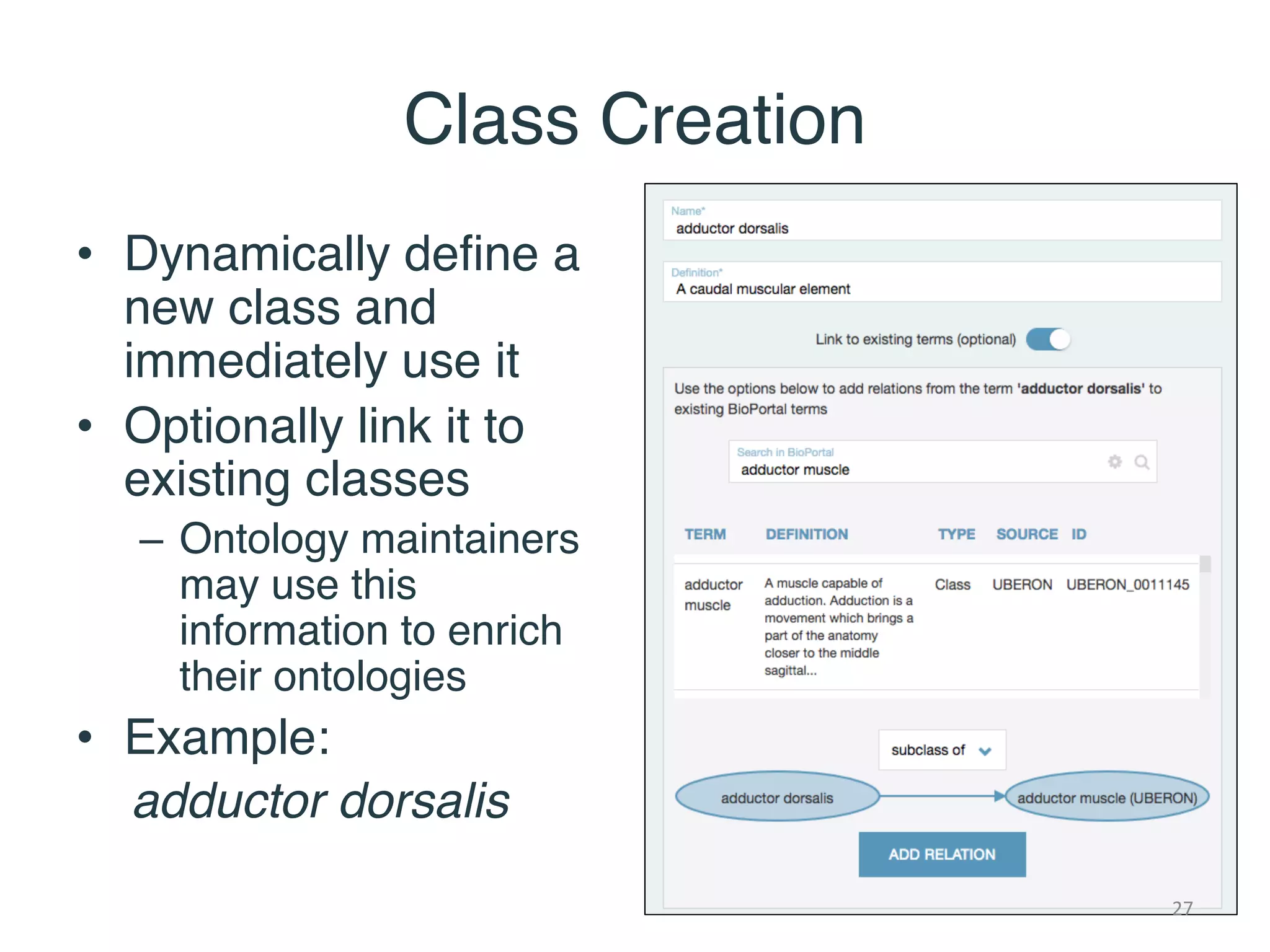 Class Creation
• Dynamically define a
new class and
immediately use it
• Optionally link it to
existing classes
– Ontology maintainers
may use this
information to enrich
their ontologies
• Example:
adductor dorsalis
27
 