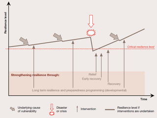 ICBRR-Integtrated Community Based Risk Reduction | PPT
