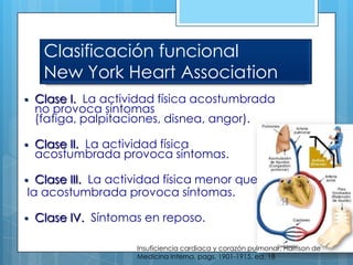 Clasificación funcional
New York Heart Association


Clase I. La actividad física acostumbrada
no provoca síntomas
(fatiga, palpitaciones, disnea, angor).



Clase II. La actividad física
acostumbrada provoca síntomas.

Clase III. La actividad física menor que
la acostumbrada provoca síntomas.





Clase IV. Síntomas en reposo.
Insuficiencia cardiaca y corazón pulmonar, Harrison de
Medicina Interna, pags. 1901-1915, ed. 18

 
