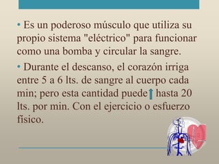 • Es un poderoso músculo que utiliza su
propio sistema "eléctrico" para funcionar
como una bomba y circular la sangre.
• Durante el descanso, el corazón irriga
entre 5 a 6 lts. de sangre al cuerpo cada
min; pero esta cantidad puede hasta 20
lts. por min. Con el ejercicio o esfuerzo
físico.
 