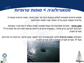 IYT 
מטאורולוגיה > סופות טרופיות 
סופות טרופיות מסווגות לשלוש קבוצות עיקריות: שקע טרופי, סופה טרופית וקטגוריה 
שלישית ששמה נקבע על פי האזור שבו הסופה מתרחשת. 
שקע טרופי - מערכת מאורגנת של עננות וסופות רעמים בעלת זרימת אוויר בשכבות 
הקרובות לקרקע בכיוון מוגדר. בשקעים טרופיים הרוחות מגיעות למהירות של פחות מ 17- 
מטרים לשניה. 
הפעילות בסופה טרופית חזקה ואינטנסיבית יותר מאשר שקע טרופי, והרוחות בה מהירותן 
מעל 17 מטרים לשנייה ומתחת ל 33- מטרים לשנייה. 
 