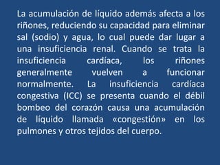 La acumulación de líquido además afecta a los
riñones, reduciendo su capacidad para eliminar
sal (sodio) y agua, lo cual puede dar lugar a
una insuficiencia renal. Cuando se trata la
insuficiencia cardíaca, los riñones
generalmente vuelven a funcionar
normalmente. La insuficiencia cardíaca
congestiva (ICC) se presenta cuando el débil
bombeo del corazón causa una acumulación
de líquido llamada «congestión» en los
pulmones y otros tejidos del cuerpo.
 