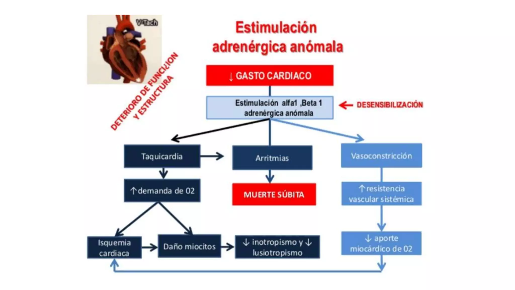 FISIOPATOLOGIA DE LA INSUFICIENCIA CARDIACA | PPTX | Heart and