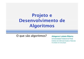 Projeto e
 Desenvolvimento de
     Algoritmos

O que são algoritmos?   Adagenor Lobato Ribeiro
                        Universidade Federal do Pará
                                                Pará
                        Instituto de Ciências Exatas e Naturais
                        Faculdade de Computação
 