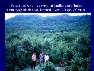 Forest and wildlife revival at Jardhargaon (Indian
Himalaya): black bear, leopard, over 120 spp. of birds…
 