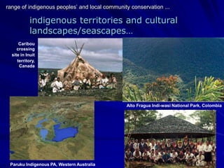 indigenous territories and cultural
landscapes/seascapes…
Paruku Indigenous PA, Western Australia
Caribou
crossing
site in Inuit
territory,
Canada
Alto Fragua Indi-wasi National Park, Colombia
range of indigenous peoples’ and local community conservation ...
 