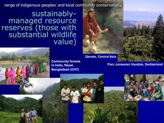 sustainably-
managed resource
reserves (those with
substantial wildlife
value)
Parc Jurassien Vaudois, Switzerland
Qanats, Central Asia
Community forests
in India, Nepal,
Bangladesh (CHT)
range of indigenous peoples’ and local community conservation ...
 