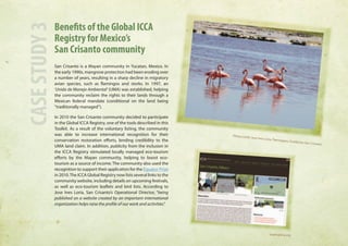 Benefits of the Global ICCA 
Registry for Mexico’s 
San Crisanto community 
San Crisanto is a Mayan community in Yucatan, Mexico. In 
the early 1990s, mangrove protection had been eroding over 
a number of years, resulting in a sharp decline in migratory 
avian species, such as flamingos and storks. In 1997, an 
‘Unida de Manejo Ambiental’ (UMA) was established, helping 
the community reclaim the rights to their lands through a 
Mexican federal mandate (conditional on the land being 
“traditionally managed”). 
In 2010 the San Crisanto community decided to participate 
in the Global ICCA Registry, one of the tools described in this 
Toolkit. As a result of the voluntary listing, the community 
was able to increase international recognition for their 
conservation restoration efforts, lending credibility to the 
UMA land claim. In addition, publicity from the inclusion in 
the ICCA Registry stimulated locally managed eco-tourism 
efforts by the Mayan community, helping to boost eco-tourism 
as a source of income. The community also used the 
recognition to support their application for the Equator Prize 
in 2010. The ICCA Global Registry now lists several links to the 
community website, including details on upcoming festivals, 
as well as eco-tourism leaflets and bird lists. According to 
Jose Ines Loria, San Crisanto’s Operational Director, “being 
published on a website created by an important international 
organization helps raise the profile of our work and activities.” CASE STUDY 3 
Photo credit: Jose Ines Loria, Flamingoes, Fundacion San Crisanto 
icaaregistry.org 
 