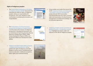 Rights of Indigenous peoples: 
❏❏ The ‘United Nations Declaration on the Rights 
of Indigenous People (UNDRIP)’ documents the 
individual and collective rights of indigenous 
peoples, setting out responsibilities for 
UN agencies, and a clear standard to assist 
communities in combating discrimination and 
marginalization. 
❏❏ The ‘United Nations Development Group 
Resource Kit on Indigenous Peoples’ Issues’ is 
a tool focused on the inclusion of indigenous 
perspectives in development processes, such 
as monitoring and reporting processes, Poverty 
Reduction Strategy Papers (PRSPs), UNDP 
Human Development Reports (HDRs), and 
the UN 2015 Millennium Development Goals 
(MDGs). 
❏❏ ‘Indigenous & Tribal People’s Rights in Practice 
- A Guide to ILO Convention No. 169’ is a 
guide to the rights of indigenous and tribal 
peoples in various sectors, including land and 
resources, education, traditional occupations, 
labour rights, and vocational training. 
❏❏ Using multiple case studies from around the 
world, ‘Indigenous Peoples and Conservation 
- from Rights to Resource Management’ 
produced by the NGO Conservation 
International illustrates four topics: (i) human 
rights and conservation; (ii) natural resource 
management; (ii) traditional knowledge; and 
(iv) innovative approaches. 
❏❏ ‘Indigenous Peoples and the Convention on 
Biological Diversity - An education resource 
book’ highlights the impacts, rights and 
relevance of the CBD for indigenous peoples. 
 