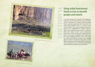 Using tribal investment 
funds in Iran to benefit 
people and nature 
In the last decade, Iran’s more than 700 indigenous 
tribes have seen the revival of their councils of elders 
and the registration of sanduqs (tribal investment 
funds) run by the indigenous tribes themselves. The 
Iranian NGO CENESTA, which is a member of the 
‘Council of Elders of the Union of Indigenous Nomadic 
Tribes of Iran’ (UNINOMAD) has helped institute a 
process of participatory action research to assist the 
tribes with analysis of their current predicament, 
future visions of their ICCAs, and a ‘roadmap’ for the 
future. For example, the Bakhtiari tribe Farrokhvand 
has revived endangered plants such as wild celery 
by assigning “field guards” to protect these valuable 
plants, as well as re-seeding the range where possible. 
When they harvest economically significant crops like 
celery, the collective structure of their sanduq benefits 
all tent-holds and nomadic camps of the tribe. 
CASE STUDY 14 
Qashqai migration. Photo credit: CENESTA, Iran 
Qashqai women. Photo credit: CENESTA, Iran 
 