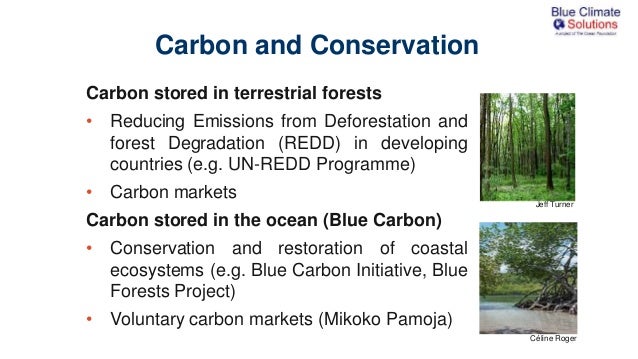 iccb 2015 fish carbon valuation of marine vertebrate carbon services as a means to prioritise marine biodiversity conservation 2 638