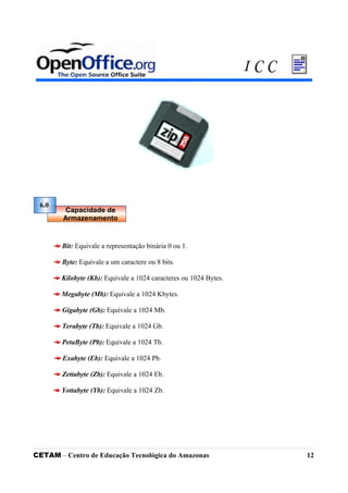 Bit: Equivale a representação binária 0 ou 1.
Byte: Equivale a um caractere ou 8 bits.
Kilobyte (Kb): Equivale a 1024 caracteres ou 1024 Bytes.
Megabyte (Mb): Equivale a 1024 Kbytes.
Gigabyte (Gb): Equivale a 1024 Mb.
Terabyte (Tb): Equivale a 1024 Gb.
PetaByte (Pb): Equivale a 1024 Tb.
Exabyte (Eb): Equivale a 1024 Pb.
Zettabyte (Zb): Equivale a 1024 Eb.
Yottabyte (Yb): Equivale a 1024 Zb.
CETAM – Centro de Educação Tecnológica do Amazonas 12
6.0
Capacidade de
Armazenamento
I C C
 