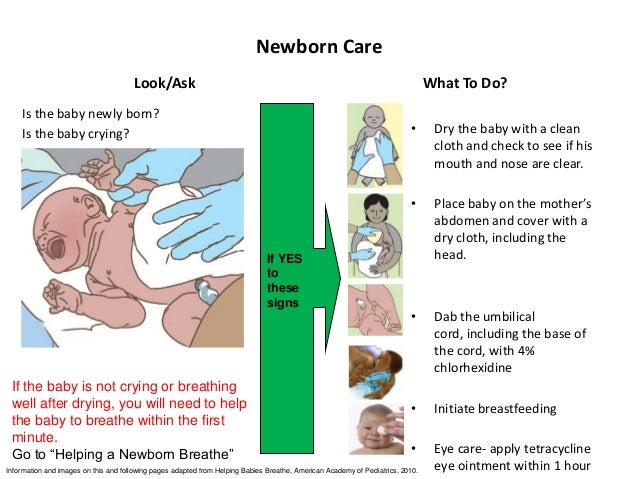 integrating newborn interventions into community case management in r newborn baby needs