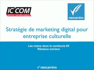 Stratégie de marketing digital pour
entreprise culturelle
Les mains dans le cambouis #3
Réseaux sociaux

 