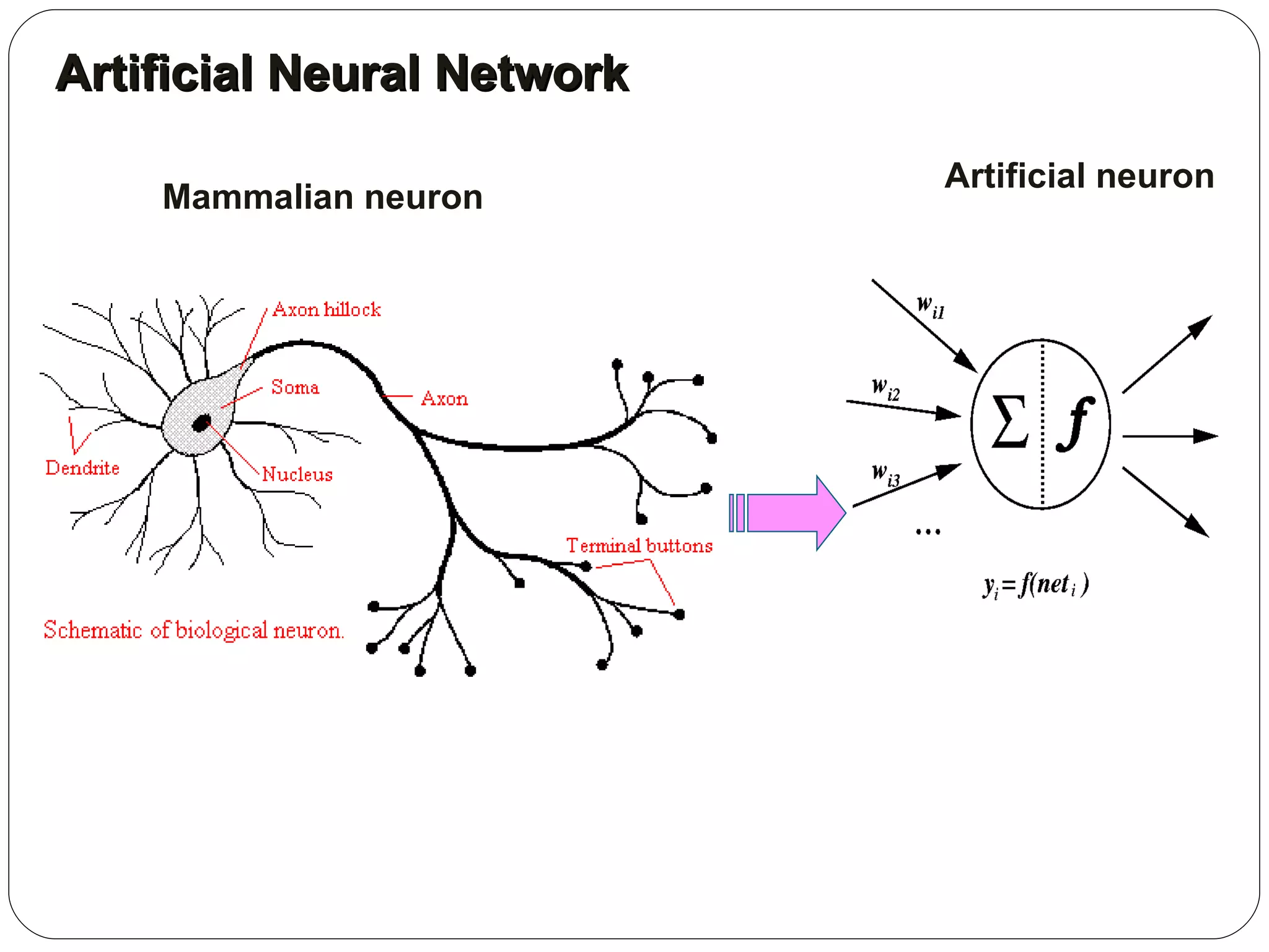 Artificial Neural Network Artificial neuron Mammalian neuron 