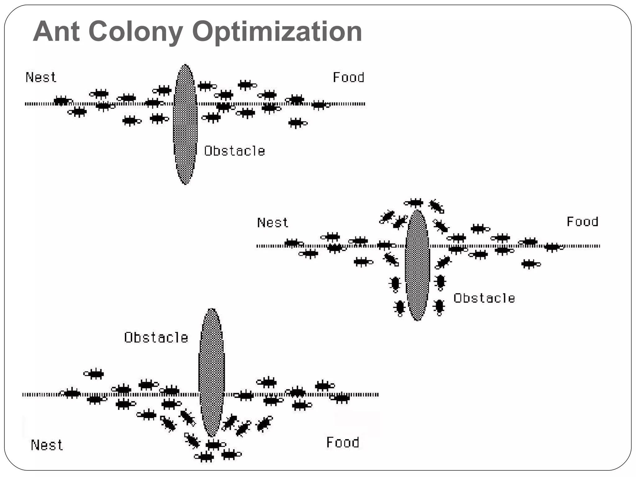 Ant Colony Optimization 