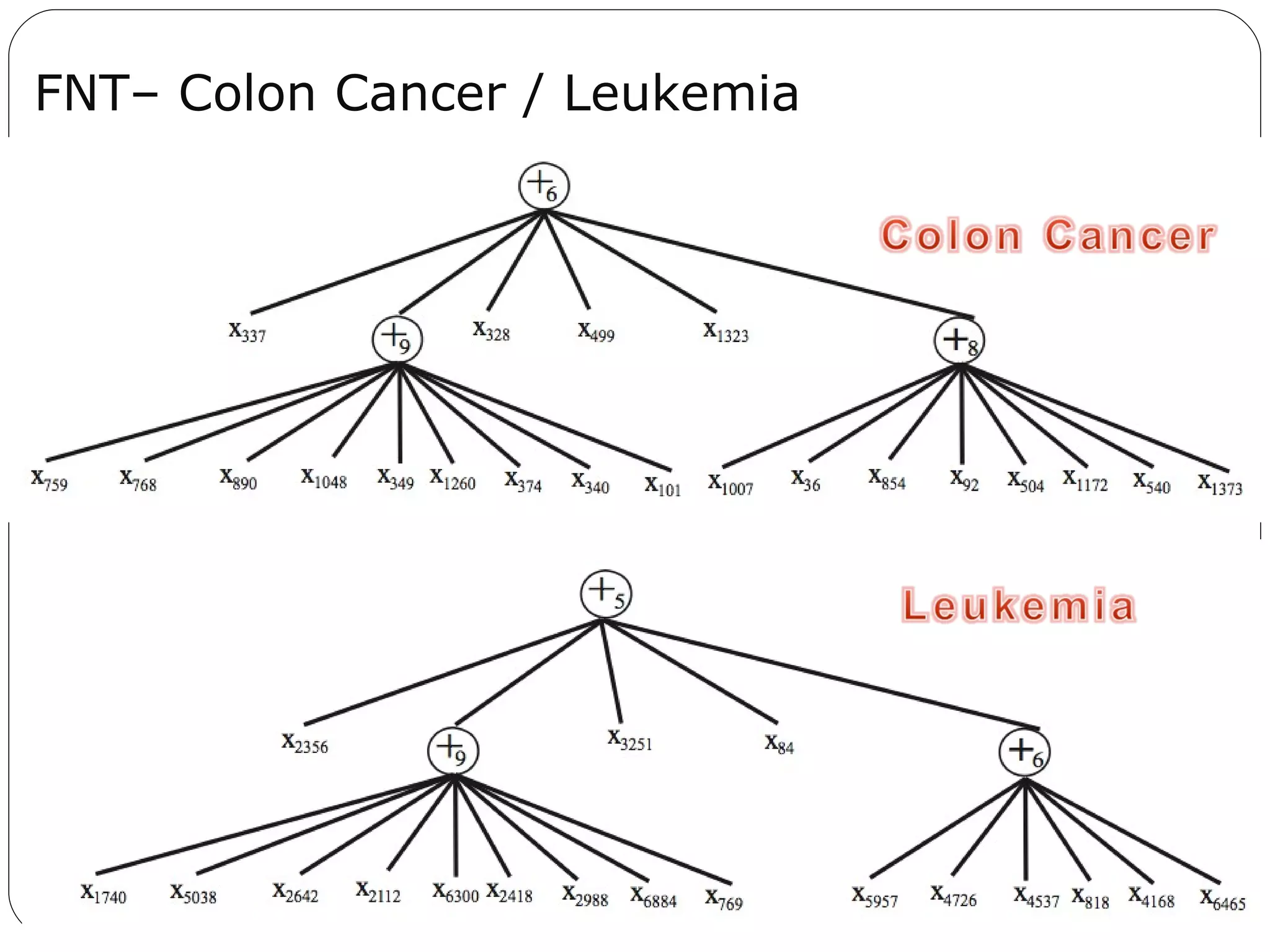 FNT– Colon Cancer / Leukemia 