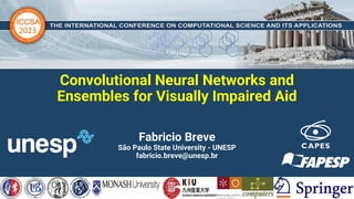 Convolutional Neural Networks and
Ensembles for Visually Impaired Aid
Fabricio Breve
São Paulo State University - UNESP
fabricio.breve@unesp.br
 