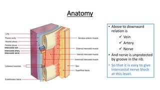 Anatomy
• Above to downward
relation is
 Vein
 Artery
 Nerve
• And nerve is unprotected
by groove in the rib.
• So that it is easy to give
intercostal nerve block
at this level.
 