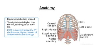 Anatomy
• Diaphragm is balloon shaped.
• The right dome is higher than
the left, reaching as far as 6th
rib.
• If ICD is inserted below the 6th
rib there are higher chances of
abdominal visceral damage.
 