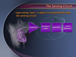 The Sensing Circuit

• Upon being ‘seen,’ a signal is transported through
  the sensing circuit
 